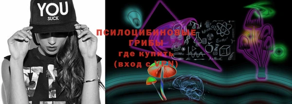 дживик Зеленодольск